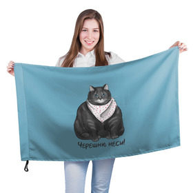 Флаг 3D с принтом Черешню неси! в Белгороде, 100% полиэстер | плотность ткани — 95 г/м2, размер — 67 х 109 см. Принт наносится с одной стороны | еда | кот | кушать | мем | черешня