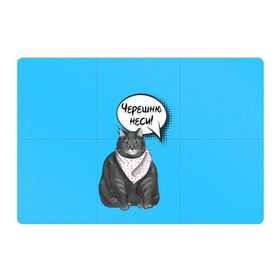 Магнитный плакат 3Х2 с принтом Толстый кот в Белгороде, Полимерный материал с магнитным слоем | 6 деталей размером 9*9 см | Тематика изображения на принте: еда | кот | кушать | мем | черешня