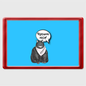 Магнит 45*70 с принтом Толстый кот в Белгороде, Пластик | Размер: 78*52 мм; Размер печати: 70*45 | Тематика изображения на принте: еда | кот | кушать | мем | черешня