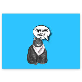 Поздравительная открытка с принтом Толстый кот в Белгороде, 100% бумага | плотность бумаги 280 г/м2, матовая, на обратной стороне линовка и место для марки
 | еда | кот | кушать | мем | черешня