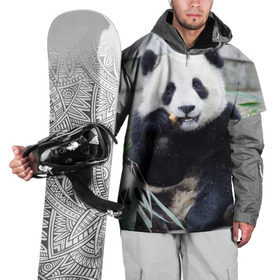Накидка на куртку 3D с принтом Большая панда в Белгороде, 100% полиэстер |  | Тематика изображения на принте: бамбук | белый | джунгли | дикое | животное | китай | лес | медведь | черный