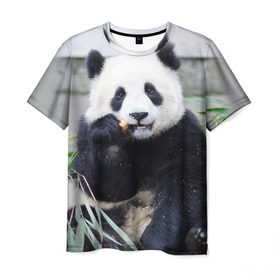 Мужская футболка 3D с принтом Большая панда в Белгороде, 100% полиэфир | прямой крой, круглый вырез горловины, длина до линии бедер | Тематика изображения на принте: бамбук | белый | джунгли | дикое | животное | китай | лес | медведь | черный