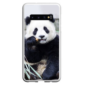 Чехол для Samsung Galaxy S10 с принтом Большая панда в Белгороде, Силикон | Область печати: задняя сторона чехла, без боковых панелей | Тематика изображения на принте: бамбук | белый | джунгли | дикое | животное | китай | лес | медведь | черный