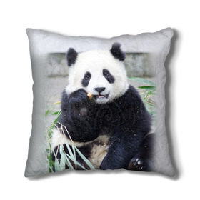Подушка 3D с принтом Большая панда в Белгороде, наволочка – 100% полиэстер, наполнитель – холлофайбер (легкий наполнитель, не вызывает аллергию). | состоит из подушки и наволочки. Наволочка на молнии, легко снимается для стирки | Тематика изображения на принте: бамбук | белый | джунгли | дикое | животное | китай | лес | медведь | черный