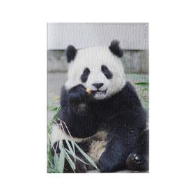 Обложка для паспорта матовая кожа с принтом Большая панда в Белгороде, натуральная матовая кожа | размер 19,3 х 13,7 см; прозрачные пластиковые крепления | бамбук | белый | джунгли | дикое | животное | китай | лес | медведь | черный