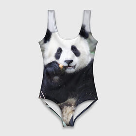 Купальник-боди 3D с принтом Большая панда в Белгороде, 82% полиэстер, 18% эластан | Круглая горловина, круглый вырез на спине | бамбук | белый | джунгли | дикое | животное | китай | лес | медведь | черный