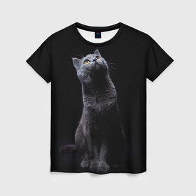 Женская футболка 3D с принтом Милый котик в Белгороде, 100% полиэфир ( синтетическое хлопкоподобное полотно) | прямой крой, круглый вырез горловины, длина до линии бедер | кот | котенок | кошка | милый | пушистый | черный