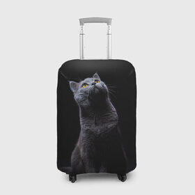 Чехол для чемодана 3D с принтом Милый котик в Белгороде, 86% полиэфир, 14% спандекс | двустороннее нанесение принта, прорези для ручек и колес | кот | котенок | кошка | милый | пушистый | черный