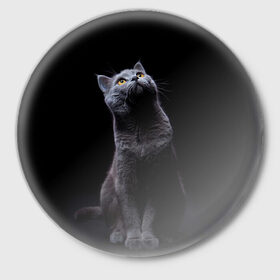 Значок с принтом Милый котик в Белгороде,  металл | круглая форма, металлическая застежка в виде булавки | кот | котенок | кошка | милый | пушистый | черный