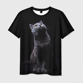 Мужская футболка 3D с принтом Милый котик в Белгороде, 100% полиэфир | прямой крой, круглый вырез горловины, длина до линии бедер | кот | котенок | кошка | милый | пушистый | черный