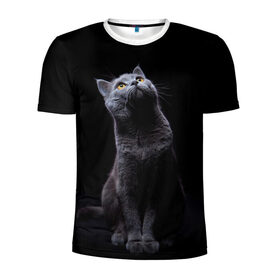 Мужская футболка 3D спортивная с принтом Милый котик в Белгороде, 100% полиэстер с улучшенными характеристиками | приталенный силуэт, круглая горловина, широкие плечи, сужается к линии бедра | кот | котенок | кошка | милый | пушистый | черный