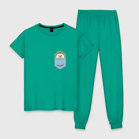 Женская пижама хлопок с принтом Ёжик в кармане в Белгороде, 100% хлопок | брюки и футболка прямого кроя, без карманов, на брюках мягкая резинка на поясе и по низу штанин | еж | ёжик | ёжик в кармане | лес