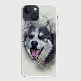 Чехол для iPhone 13 mini с принтом Хаска в Белгороде,  |  | животные | пес | собака | хаска