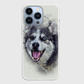 Чехол для iPhone 13 Pro с принтом Хаска в Белгороде,  |  | животные | пес | собака | хаска