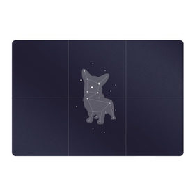 Магнитный плакат 3Х2 с принтом Корги в Белгороде, Полимерный материал с магнитным слоем | 6 деталей размером 9*9 см | corgi | dog | dogs | корги | пес | порода | собака | щенки | щенок