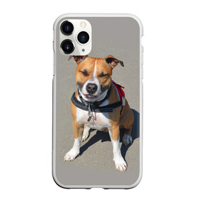 Чехол для iPhone 11 Pro матовый с принтом Стаффордшир в Белгороде, Силикон |  | животные | пес | питбуль | природа | собака | стафф | стаффордшир | стаффордширский терьер