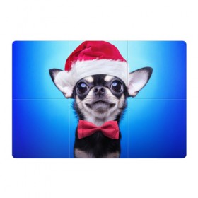 Магнитный плакат 3Х2 с принтом рождество в Белгороде, Полимерный материал с магнитным слоем | 6 деталей размером 9*9 см | dog | happy new year | бантик | взгляд | глаза | новый год | пинчер | праздник | санта клаус | собака | той терьер