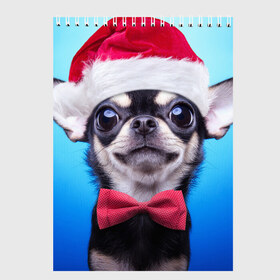 Скетчбук с принтом рождество в Белгороде, 100% бумага
 | 48 листов, плотность листов — 100 г/м2, плотность картонной обложки — 250 г/м2. Листы скреплены сверху удобной пружинной спиралью | dog | happy new year | бантик | взгляд | глаза | новый год | пинчер | праздник | санта клаус | собака | той терьер
