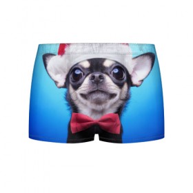 Мужские трусы 3D с принтом рождество в Белгороде, 50% хлопок, 50% полиэстер | классическая посадка, на поясе мягкая тканевая резинка | dog | happy new year | бантик | взгляд | глаза | новый год | пинчер | праздник | санта клаус | собака | той терьер