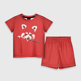 Детский костюм с шортами 3D с принтом Красная панда в Белгороде,  |  | енот | кисть | лиса | малая панда | художник