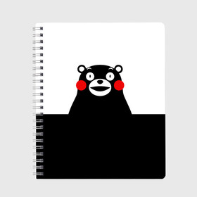 Тетрадь с принтом KUMAMON в Белгороде, 100% бумага | 48 листов, плотность листов — 60 г/м2, плотность картонной обложки — 250 г/м2. Листы скреплены сбоку удобной пружинной спиралью. Уголки страниц и обложки скругленные. Цвет линий — светло-серый
 | japanese | kumamon | kumamoto | аниме | игрушка | кумамон | кумамото сапурайдзу | персонаж | талисман | япония