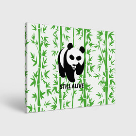 Холст прямоугольный с принтом Still Alive в Белгороде, 100% ПВХ |  | Тематика изображения на принте: alive | bamboo | green | greenpeace | panga | peace | still | бамбук | грин | гринпис | живая | живой | зеленый | мир | панда | панды | пис