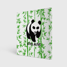 Холст квадратный с принтом Still Alive в Белгороде, 100% ПВХ |  | Тематика изображения на принте: alive | bamboo | green | greenpeace | panga | peace | still | бамбук | грин | гринпис | живая | живой | зеленый | мир | панда | панды | пис