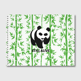 Альбом для рисования с принтом Still Alive в Белгороде, 100% бумага
 | матовая бумага, плотность 200 мг. | Тематика изображения на принте: alive | bamboo | green | greenpeace | panga | peace | still | бамбук | грин | гринпис | живая | живой | зеленый | мир | панда | панды | пис