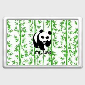 Магнит 45*70 с принтом Still Alive в Белгороде, Пластик | Размер: 78*52 мм; Размер печати: 70*45 | Тематика изображения на принте: alive | bamboo | green | greenpeace | panga | peace | still | бамбук | грин | гринпис | живая | живой | зеленый | мир | панда | панды | пис