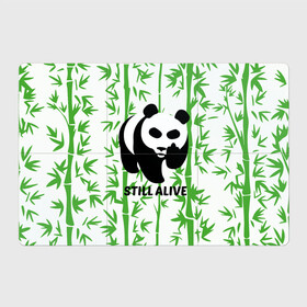 Магнитный плакат 3Х2 с принтом Still Alive в Белгороде, Полимерный материал с магнитным слоем | 6 деталей размером 9*9 см | Тематика изображения на принте: alive | bamboo | green | greenpeace | panga | peace | still | бамбук | грин | гринпис | живая | живой | зеленый | мир | панда | панды | пис