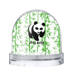 Снежный шар с принтом Still Alive в Белгороде, Пластик | Изображение внутри шара печатается на глянцевой фотобумаге с двух сторон | Тематика изображения на принте: alive | bamboo | green | greenpeace | panga | peace | still | бамбук | грин | гринпис | живая | живой | зеленый | мир | панда | панды | пис