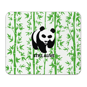 Коврик для мышки прямоугольный с принтом Still Alive в Белгороде, натуральный каучук | размер 230 х 185 мм; запечатка лицевой стороны | Тематика изображения на принте: alive | bamboo | green | greenpeace | panga | peace | still | бамбук | грин | гринпис | живая | живой | зеленый | мир | панда | панды | пис