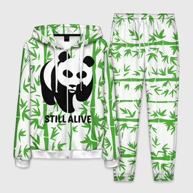 Мужской костюм 3D с принтом Still Alive в Белгороде, 100% полиэстер | Манжеты и пояс оформлены тканевой резинкой, двухслойный капюшон со шнурком для регулировки, карманы спереди | Тематика изображения на принте: alive | bamboo | green | greenpeace | panga | peace | still | бамбук | грин | гринпис | живая | живой | зеленый | мир | панда | панды | пис