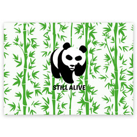 Поздравительная открытка с принтом Still Alive в Белгороде, 100% бумага | плотность бумаги 280 г/м2, матовая, на обратной стороне линовка и место для марки
 | alive | bamboo | green | greenpeace | panga | peace | still | бамбук | грин | гринпис | живая | живой | зеленый | мир | панда | панды | пис