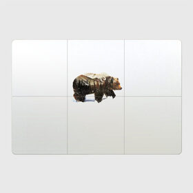 Магнитный плакат 3Х2 с принтом Лесной Медведь в Белгороде, Полимерный материал с магнитным слоем | 6 деталей размером 9*9 см | Тематика изображения на принте: bear | bears | forest | snow | tree | trees | winter | гора | горы | деревья | зима | лес | лесной | медведи | медведь | мишка | мишки | снег