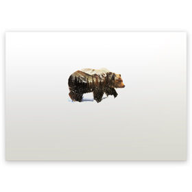 Поздравительная открытка с принтом Лесной Медведь в Белгороде, 100% бумага | плотность бумаги 280 г/м2, матовая, на обратной стороне линовка и место для марки
 | bear | bears | forest | snow | tree | trees | winter | гора | горы | деревья | зима | лес | лесной | медведи | медведь | мишка | мишки | снег