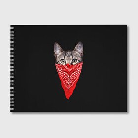 Альбом для рисования с принтом Gangsta Cat в Белгороде, 100% бумага
 | матовая бумага, плотность 200 мг. | cat | cats | gangsta | kitten | kitty | pussy | гангстер | кот | котенок | котик | котики | коты | котята | кошка | кошки | платок