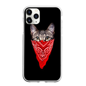 Чехол для iPhone 11 Pro матовый с принтом Gangsta Cat в Белгороде, Силикон |  | cat | cats | gangsta | kitten | kitty | pussy | гангстер | кот | котенок | котик | котики | коты | котята | кошка | кошки | платок