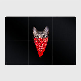 Магнитный плакат 3Х2 с принтом Gangsta Cat в Белгороде, Полимерный материал с магнитным слоем | 6 деталей размером 9*9 см | Тематика изображения на принте: cat | cats | gangsta | kitten | kitty | pussy | гангстер | кот | котенок | котик | котики | коты | котята | кошка | кошки | платок