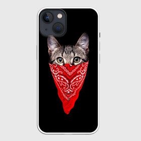 Чехол для iPhone 13 с принтом Gangsta Cat в Белгороде,  |  | cat | cats | gangsta | kitten | kitty | pussy | гангстер | кот | котенок | котик | котики | коты | котята | кошка | кошки | платок