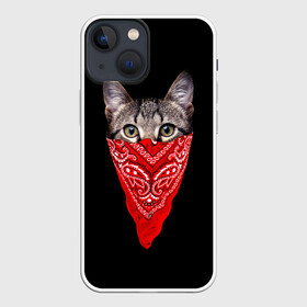 Чехол для iPhone 13 mini с принтом Gangsta Cat в Белгороде,  |  | cat | cats | gangsta | kitten | kitty | pussy | гангстер | кот | котенок | котик | котики | коты | котята | кошка | кошки | платок