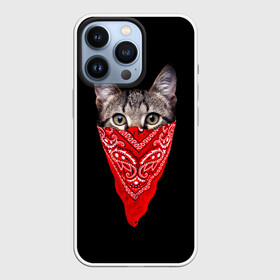 Чехол для iPhone 13 Pro с принтом Gangsta Cat в Белгороде,  |  | cat | cats | gangsta | kitten | kitty | pussy | гангстер | кот | котенок | котик | котики | коты | котята | кошка | кошки | платок