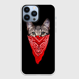Чехол для iPhone 13 Pro Max с принтом Gangsta Cat в Белгороде,  |  | cat | cats | gangsta | kitten | kitty | pussy | гангстер | кот | котенок | котик | котики | коты | котята | кошка | кошки | платок