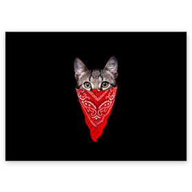 Поздравительная открытка с принтом Gangsta Cat в Белгороде, 100% бумага | плотность бумаги 280 г/м2, матовая, на обратной стороне линовка и место для марки
 | Тематика изображения на принте: cat | cats | gangsta | kitten | kitty | pussy | гангстер | кот | котенок | котик | котики | коты | котята | кошка | кошки | платок
