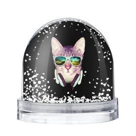 Водяной шар с принтом Кот в Наушниках в Белгороде, Пластик | Изображение внутри шара печатается на глянцевой фотобумаге с двух сторон | cat | cats | kitten | kitty | pussy | диджей | кот | котенок | котик | котики | коты | котята | кошка | кошки | наушники | очки