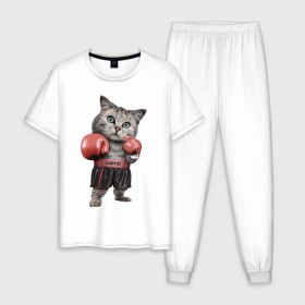 Мужская пижама хлопок с принтом Кот боксёр в Белгороде, 100% хлопок | брюки и футболка прямого кроя, без карманов, на брюках мягкая резинка на поясе и по низу штанин
 | Тематика изображения на принте: боец | бокс | боксёр | кот | котёнок | кошак | кошка | кулак | спорт | шорты