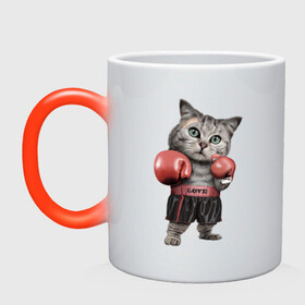 Кружка хамелеон с принтом Кот боксёр в Белгороде, керамика | меняет цвет при нагревании, емкость 330 мл | боец | бокс | боксёр | кот | котёнок | кошак | кошка | кулак | спорт | шорты