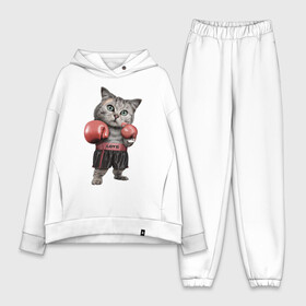 Женский костюм хлопок Oversize с принтом Кот боксёр в Белгороде,  |  | боец | бокс | боксёр | кот | котёнок | кошак | кошка | кулак | спорт | шорты