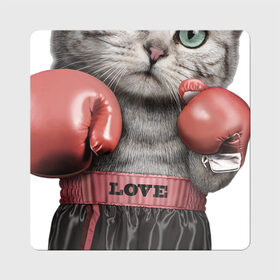 Магнит виниловый Квадрат с принтом Кот боксёр в Белгороде, полимерный материал с магнитным слоем | размер 9*9 см, закругленные углы | боец | бокс | боксёр | кот | котёнок | кошак | кошка | кулак | спорт | шорты