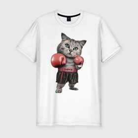 Мужская футболка премиум с принтом Кот боксёр в Белгороде, 92% хлопок, 8% лайкра | приталенный силуэт, круглый вырез ворота, длина до линии бедра, короткий рукав | боец | бокс | боксёр | кот | котёнок | кошак | кошка | кулак | спорт | шорты